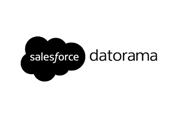 Salesforce Data
