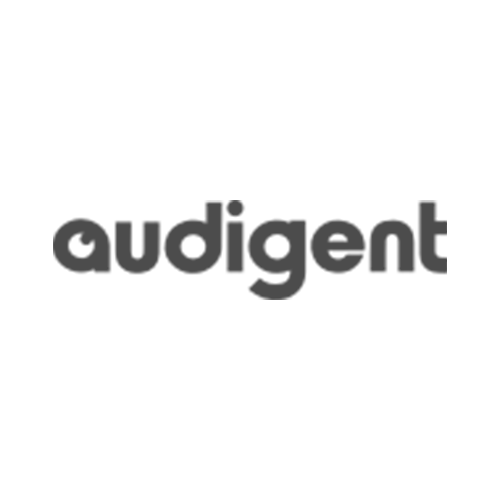 Audigent data