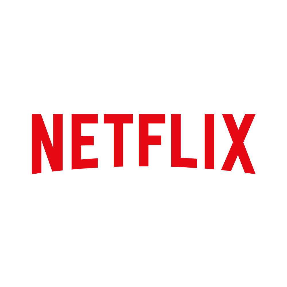 Netflix during the 2007 economic crash