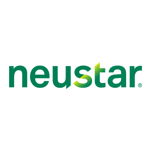 Neustar programmatic data
