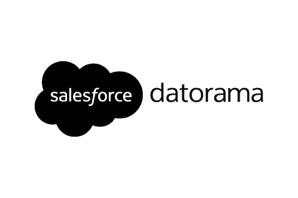 Salesforce Data